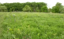 Краса природи Воронезького краю можна