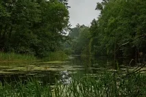 Краса природи Воронезького краю краса
