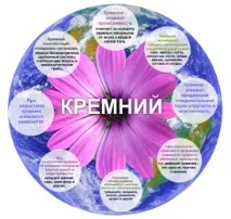 Кремній для організму людини людини