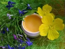 Лікування гаймориту медом гаймориту