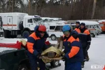 десанту