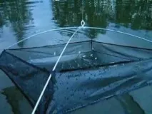 Лов окуня на живця восени восени