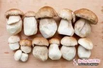 Мариновані білі гриби на зиму. мариновані