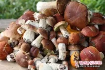 Мариновані білі гриби на зиму. гриби