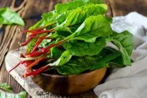 Мангольд - користь та шкода, корисні властивості мангольду для організму корисні