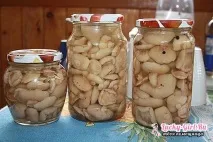 Мариновані білі гриби на зиму. зиму