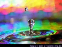 Магія дощової води, Кошкін будинок воду