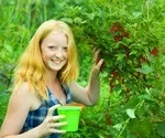 Дачна дієта як не погладшати - Wellness - Wellness на сайті АБО ДЕ БОТЕ дачна