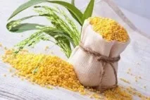 Цистит у жінок симптоми та лікування в домашніх умовах, як і чим лікувати захворювання, як швидко домашніх