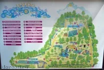 Чудо-парк Гірки-10, Час у шлях-doroad шлях-doroad