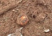 Що в «чорній скриньці» літака