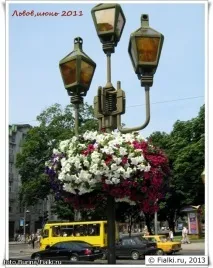Квітковий рай Аліна