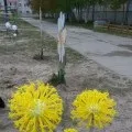 гурту