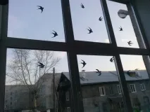 Майстер клас з оформлення вікна «До нас весна крокує…» оформлення