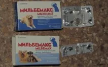 Мільбемакс для собак інструкція, опис, показання до застосування інструкція