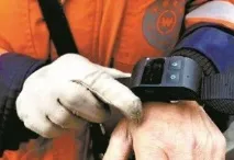 Світ протестує проти щорічного фестивалю поїдання собак у Китаї світ