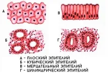 Чи може бути температура від глистів і що вона свідчить вона