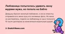 Налякала їжака Муді