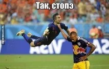 Налякала їжака Муді