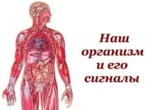 Наш організм та його сигнали робити