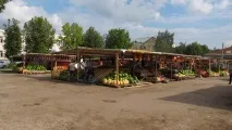 золоту