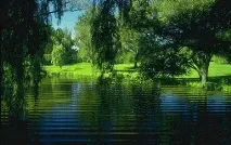 Nature Illusion Studio - анімація води, Фантазія в стилі Фентезі - Арканум Клуб nature