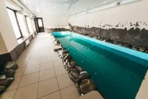 Досвід показав чи як правильно зняти котедж для відпочинку, Спілка студентів та аспірантів КНІТУ досвід