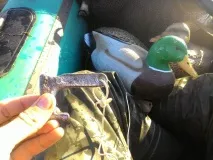близько