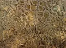 Декоративна штукатурка в Молдові - Iura ( 37369868285) декоративна