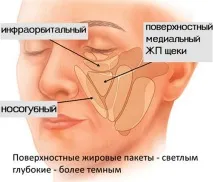 Від чого залежить молодість особи, У ресурсі залежить