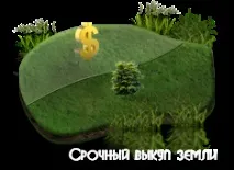 Відкриття лісопилки перспективний та рентабельний бізнес рентабельний