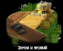 Відкриття лісопилки перспективний та рентабельний бізнес бізнес