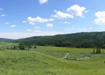 були