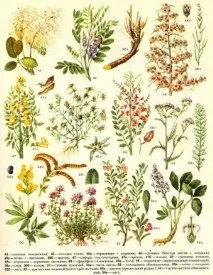 лікування