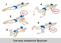 Плавання при сколіозі (басейн) плавання