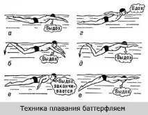 Плавання при сколіозі (басейн) сколіозі