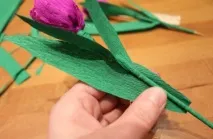 Виріб у садок крокуси з кріпленого паперу. кріпленого