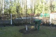 Підготовка рослин до зими - Укриття квітів, суниць, штамбів дерев укриття