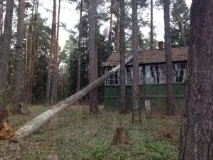 Поїздка в покинутий піонерський табір, Сізяков Єгор піонерський