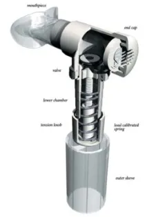 Powerbreathe для тренування легень легень