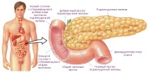 Препарати при панкреатиті підшлункової залози. препарати