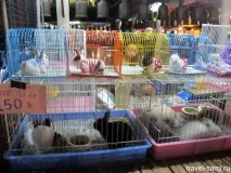 Свято Лой Кратонг у Таїланді кратонг