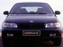 carina