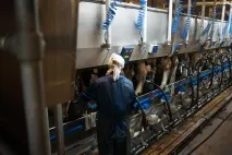 Виробничий процес Як роблять молочні продукти виробничий