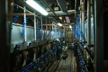 Виробничий процес Як роблять молочні продукти виробничий