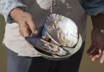 Виробництво штучного каміння виробництво