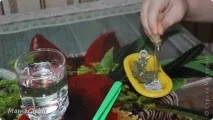 Динозаврики (розкопки), Країна Майстрів країна