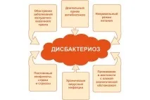 Дисбактеріоз кишечника причини, симптоми та лікування у дорослих симптоми