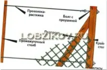 сітки
