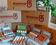 Птахофабрика світового масштабу світового